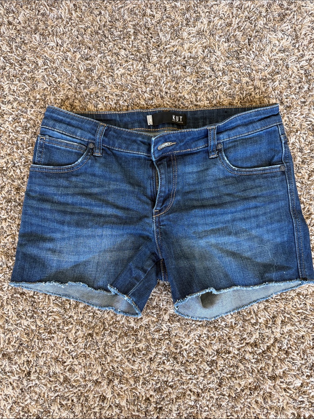 Kut from the Kloth Blue Denim Frayed Hem Shorts